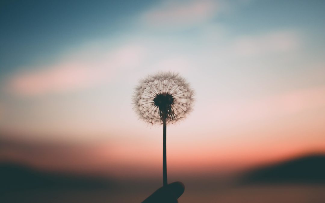 La respiration, base de la vie
